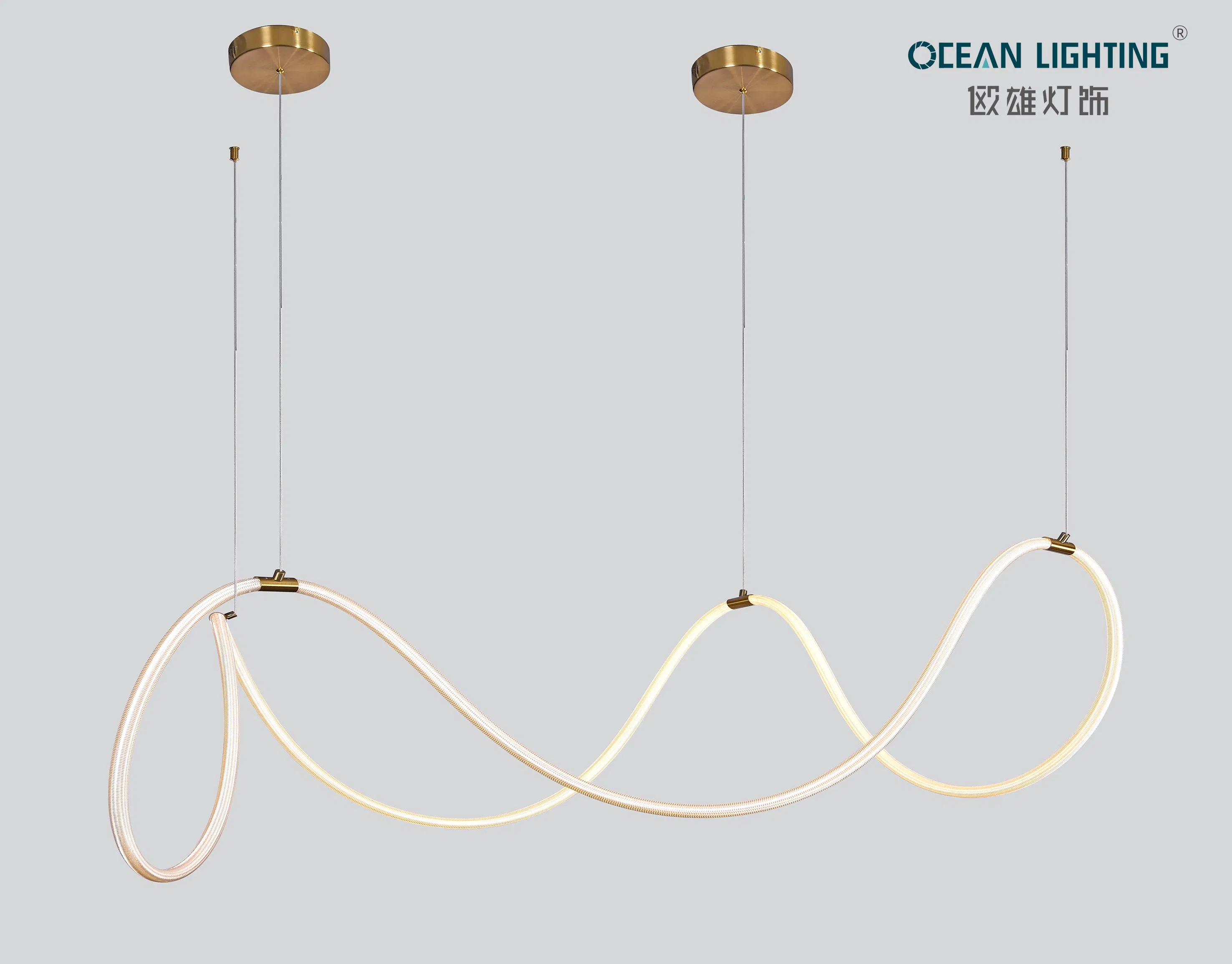 Modern LED Lighting Ceiling Modern Ceiling LED Light for Hotel Restaurant Home Villa Project