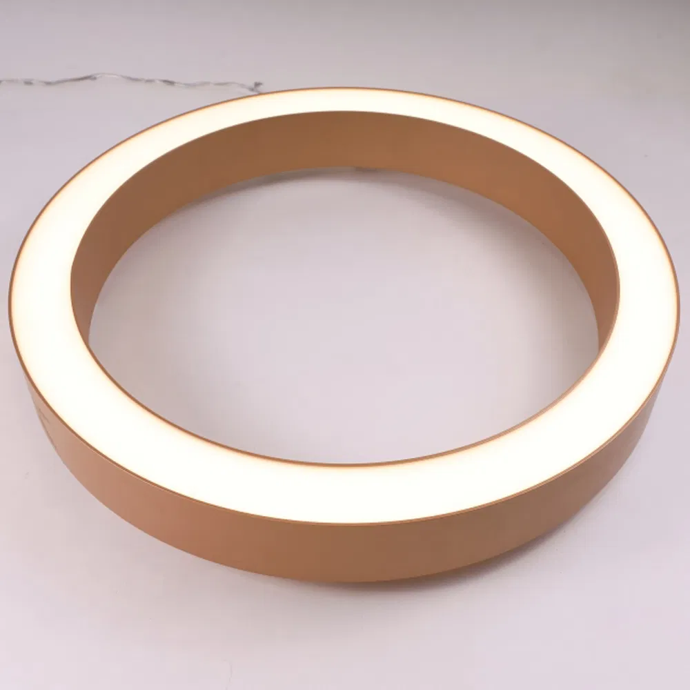 Profile Curved RGB Colorful Circular LED Chandelier Pendant Light