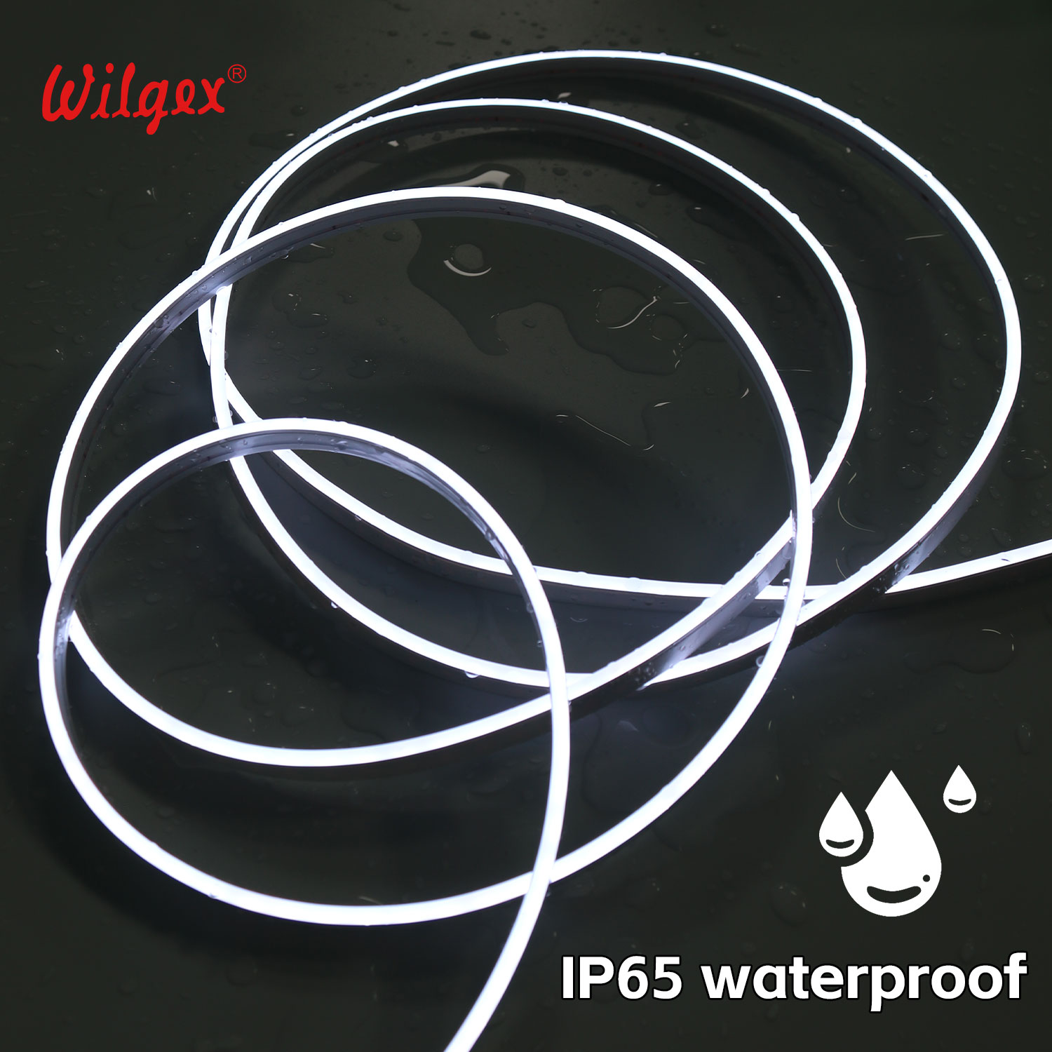 LED Neon Flex Monochrome 12V IP65 5-Year Warranty 99.99% Pure Gold Wire Outer Layer Light Diffuse Surface 4x10mm High CRI