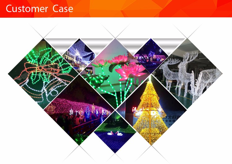 Customer Project Case