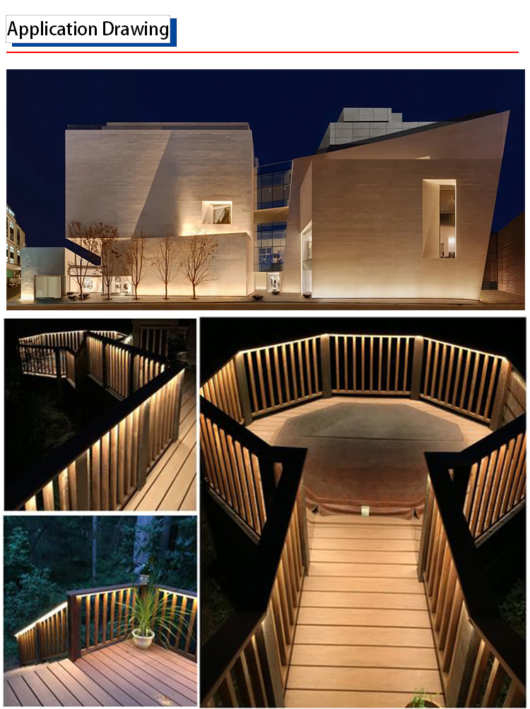 Showcase Image 2