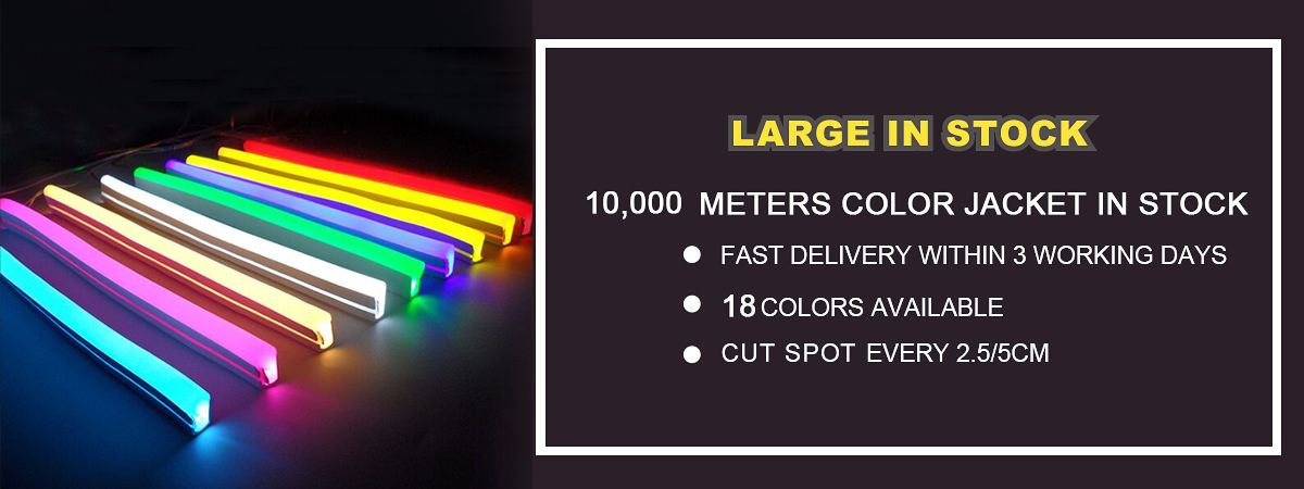 Led Neon Flex Main Display