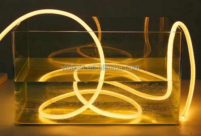Neon Flex Detail