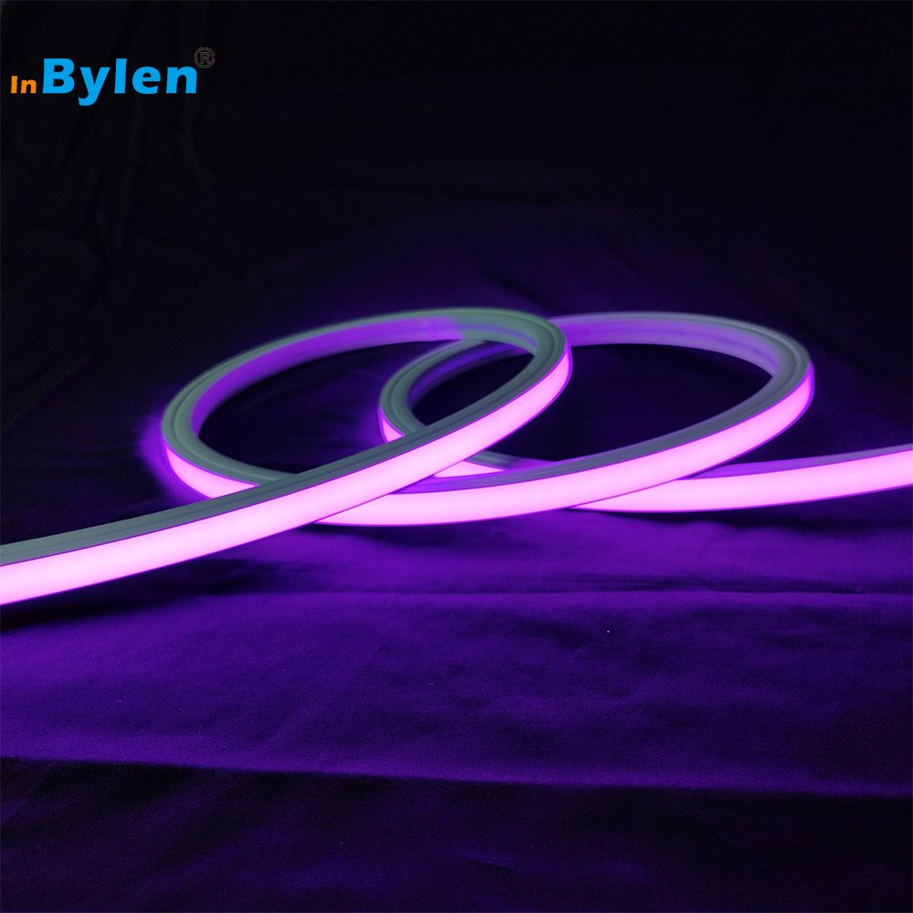 Hot Selling 12*12mm 1212 RGB Flex LED Neon Lights IP67 Waterproof Outdoor RGB Neon Flex DC24V 3838 120LED Neon RGB LED Strip