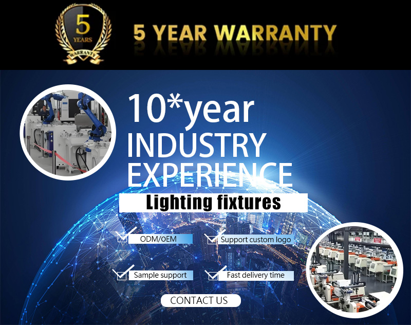 Company Showcase