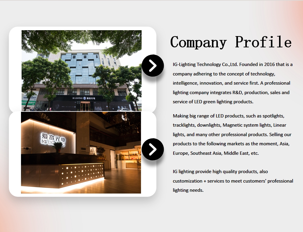 Company Overview 1