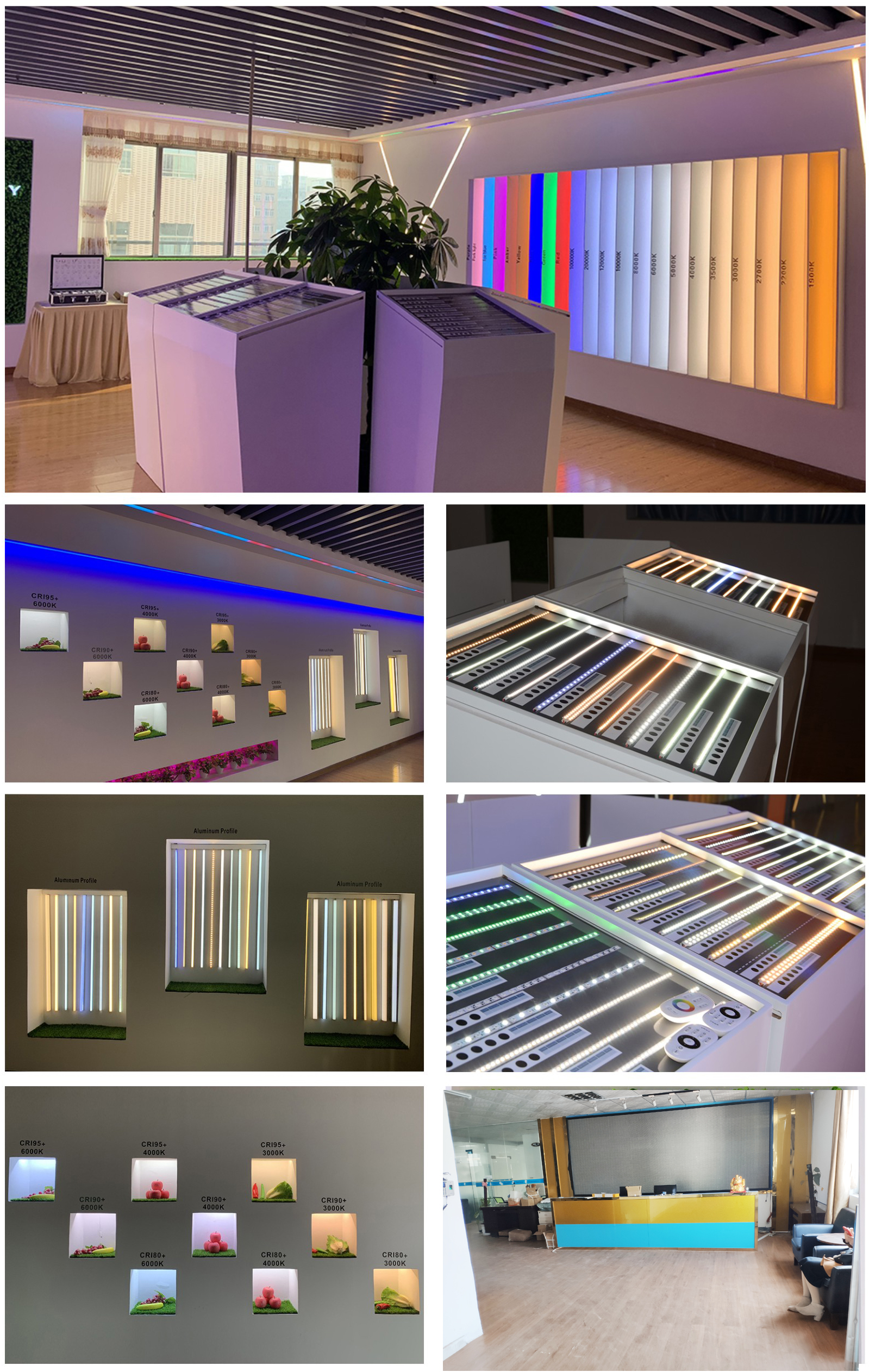 Company Showcase Image