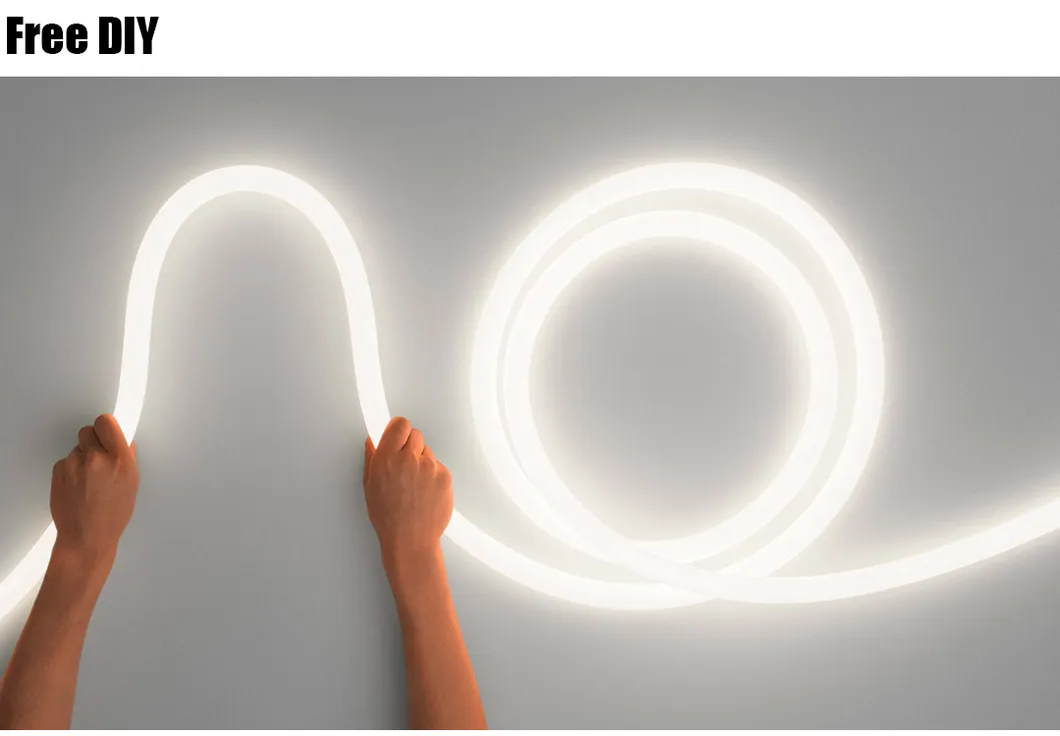 Magnetic Track Light