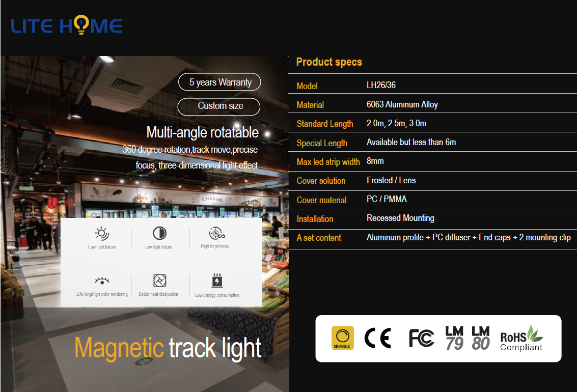 Types of Magnetic Track Lights