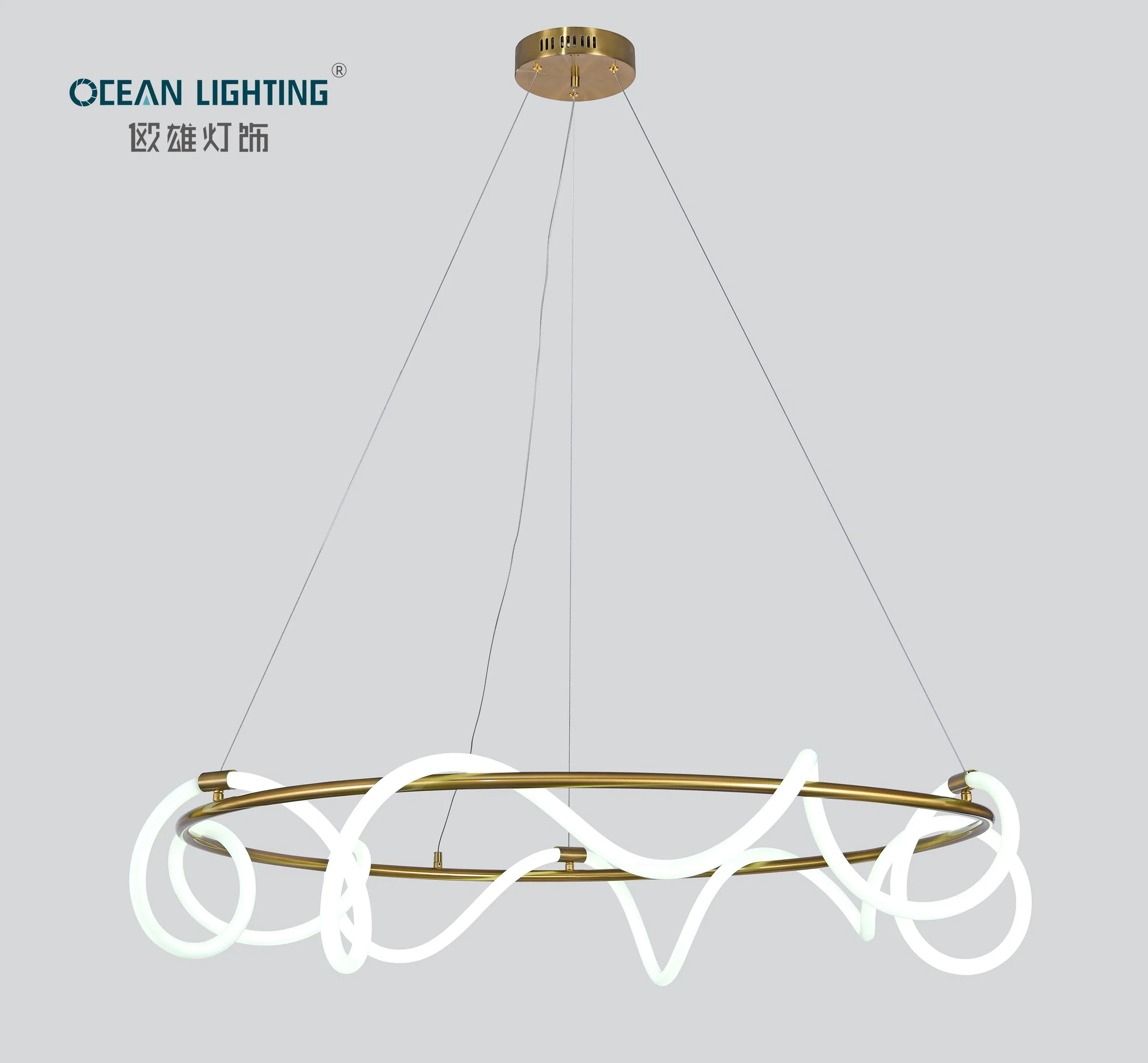 Modern LED Lighting Ceiling Modern Ceiling LED Light for Hotel Restaurant Home Villa Project