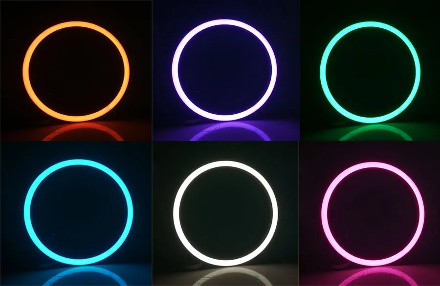 Profile Curved RGB Colorful Circular LED Chandelier Pendant Light