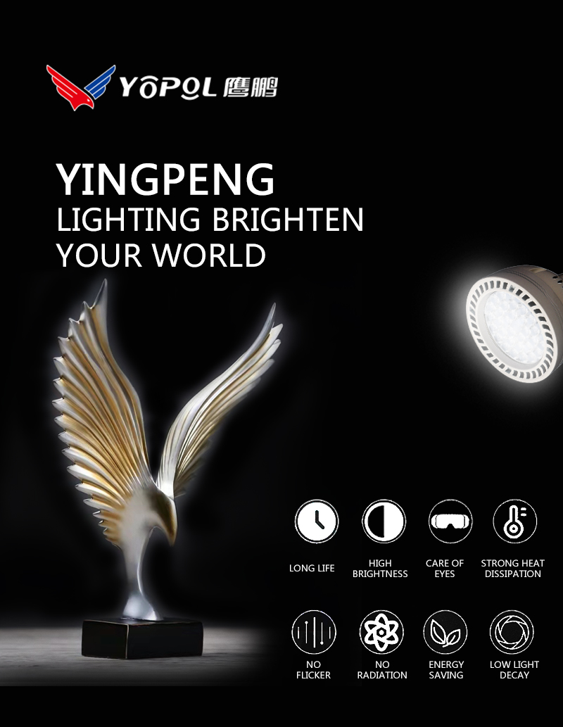 LED Lighting Product
