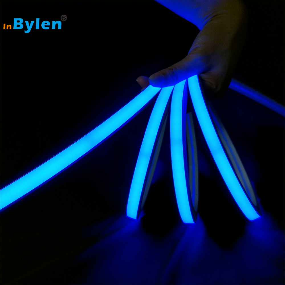 Hot Selling 12*12mm 1212 RGB Flex LED Neon Lights IP67 Waterproof Outdoor RGB Neon Flex DC24V 3838 120LED Neon RGB LED Strip