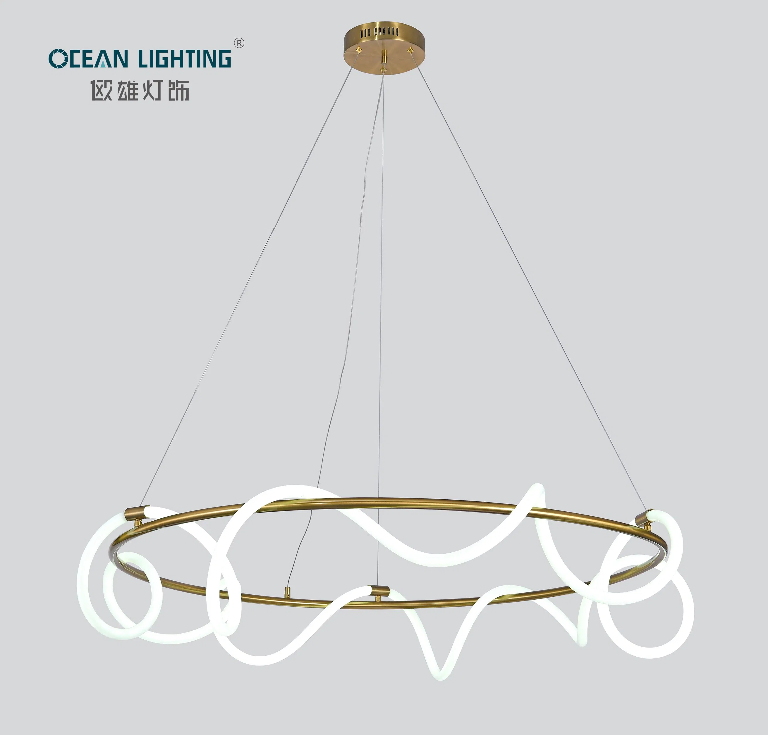 Modern LED Lighting Ceiling Modern Ceiling LED Light for Hotel Restaurant Home Villa Project