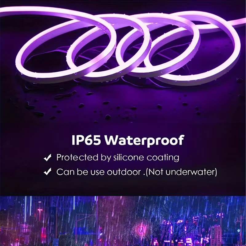 5V Neon Lights With USB Switch Button IP65 5m Neon Sign Strip Light Flex Red Blue Green Orange Yellow Pink Purple Emitted Color