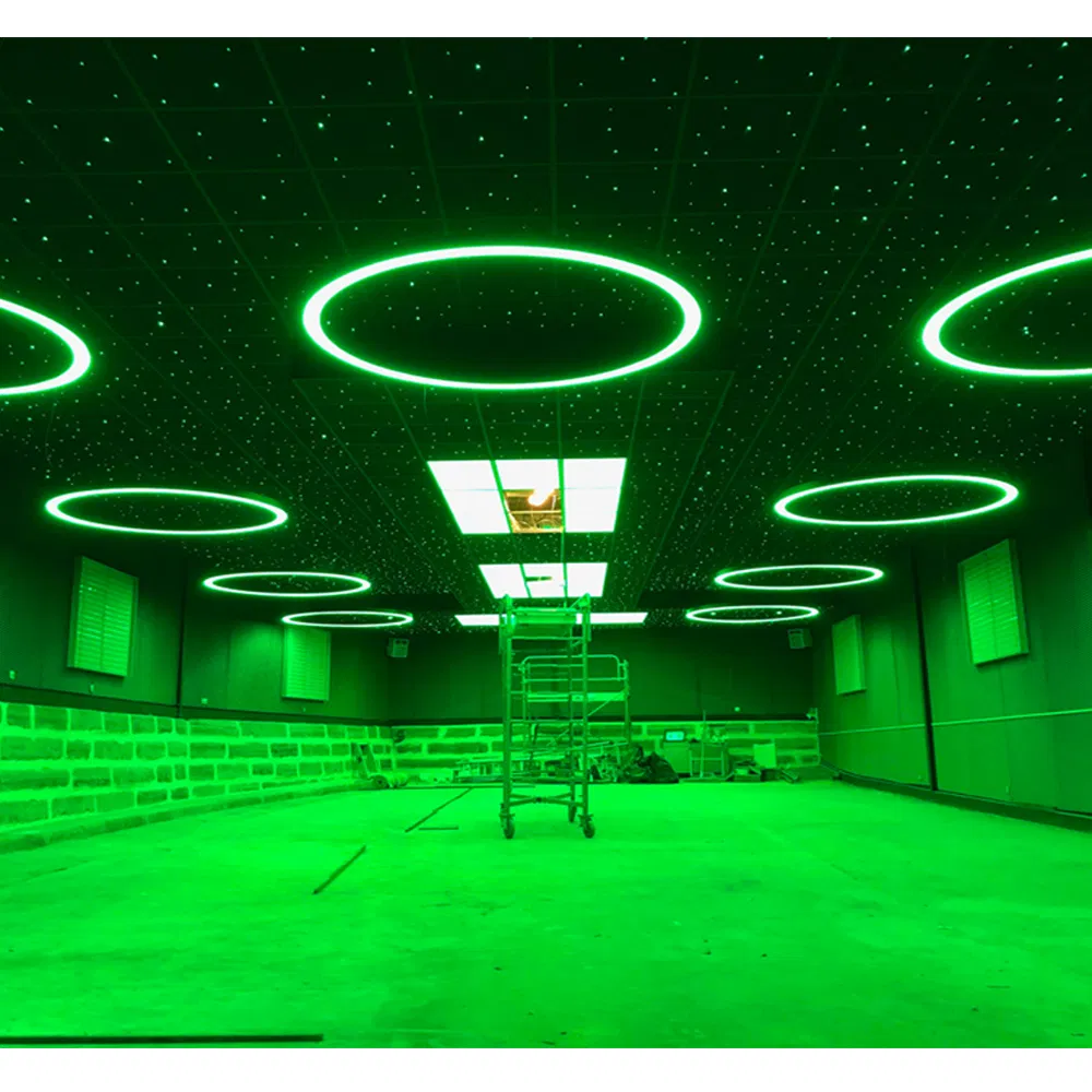 Profile Curved RGB Colorful Circular LED Chandelier Pendant Light