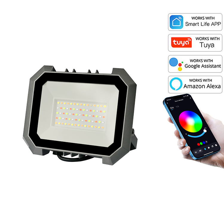 Ambient Party RGB Led Flood Lights Color Changing Light Remote Control TUYA Control Outdoor Landscape Spotlight Lamp Smart Home