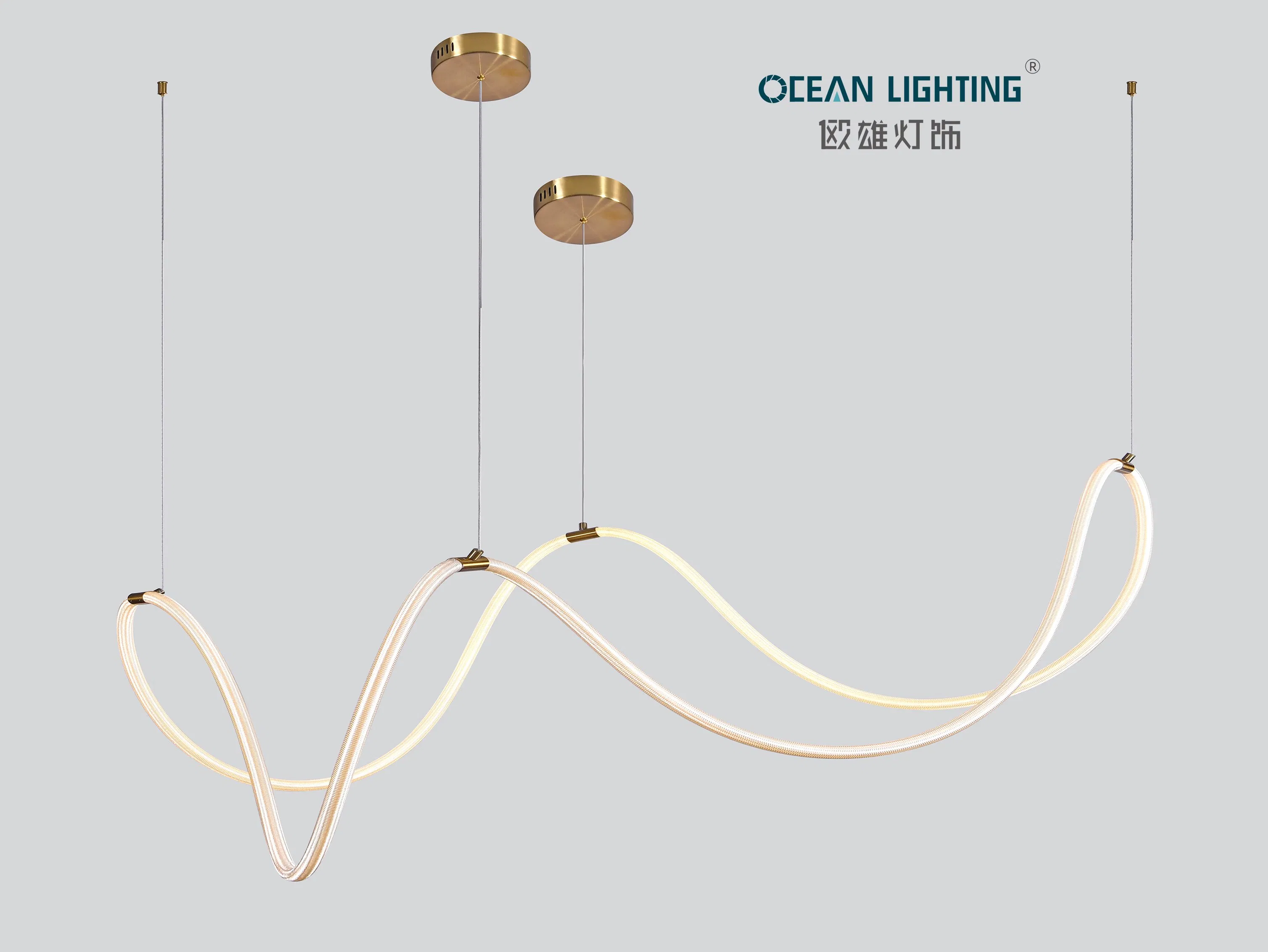 Modern LED Lighting Ceiling Modern Ceiling LED Light for Hotel Restaurant Home Villa Project