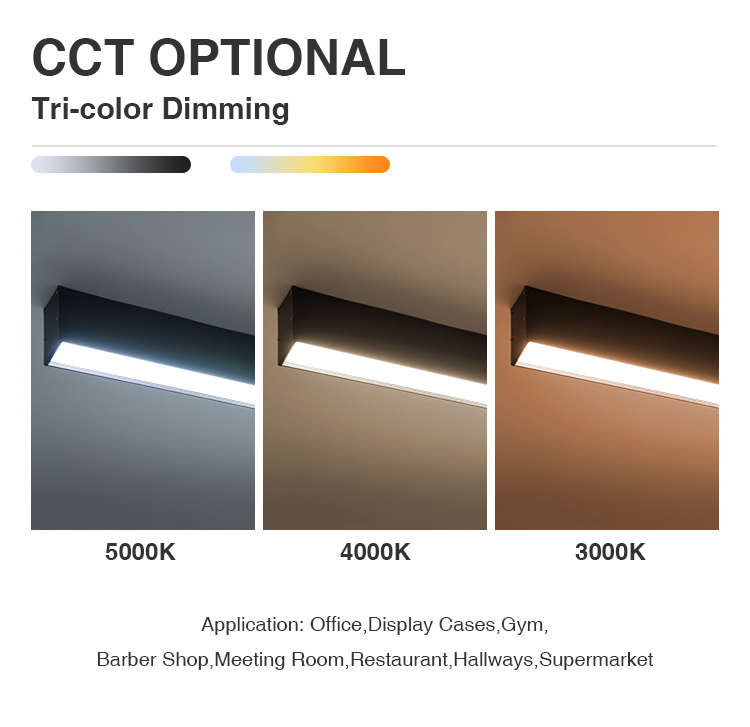 Linear Light Showcase 3