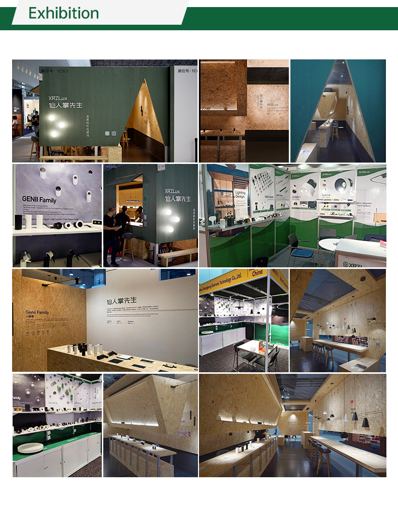 Exhibition Display 1