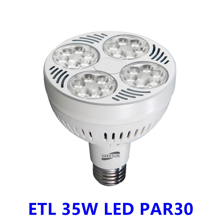 Hot Sale Indoor LED Light - ETL 35W LED PAR30