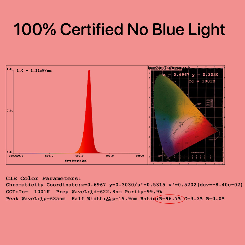 Test Certification