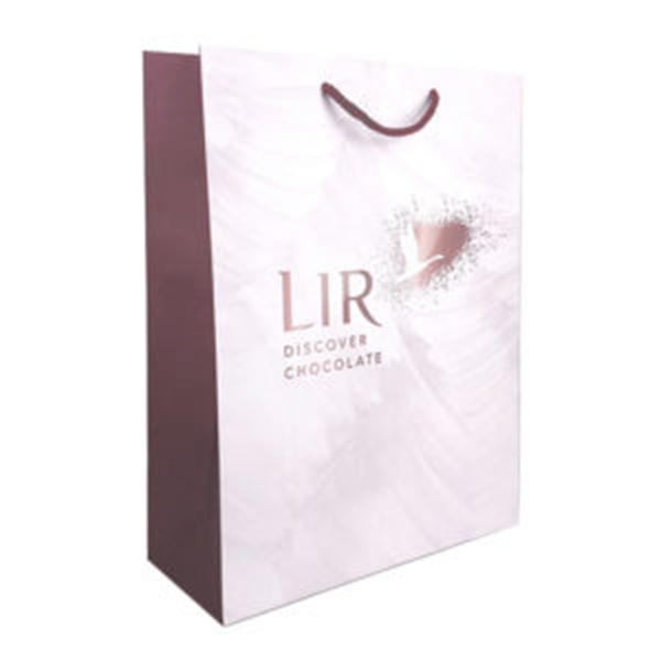 Premium Paper Bag Detail