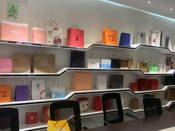Paper Bag Example 2