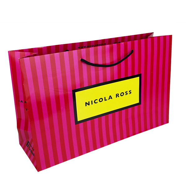 Bespoke Wholesale Gift Bag Handbag Custom Logo Luxury Shopping Paper Bag with Ribbon, Rope Handling Manufacturer, Manufacturers