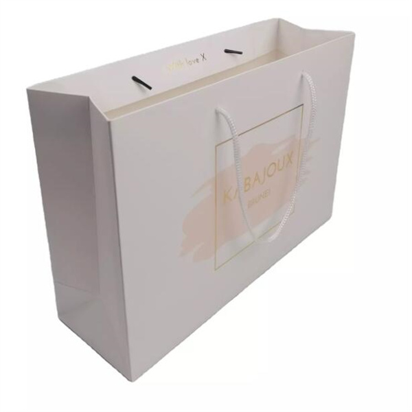 Customized Custom Printed Jewelry Shopping Bag Luxury Gift Paper Bag with Rope Handle Manufacturer, Wholesales