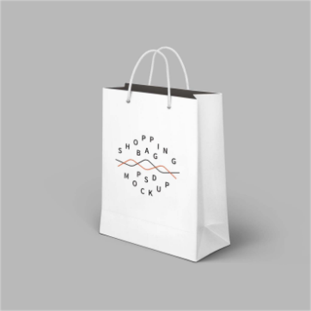 Bespoke Hot Sales Custom Printed Garment Shopping Paper Bag with Ribbon cords Manufacturer, Factory