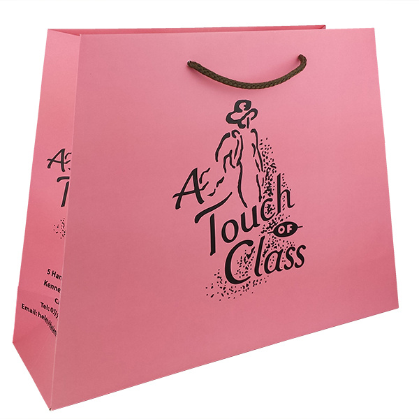 Personalized Hot Sales Custom Printed Logo Packaging Shopping Paper Bag with Ribbon Handles Manufacturers, Factories