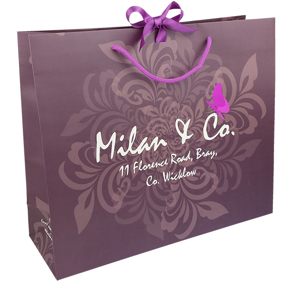 Bespoke Wholesale Gift Bag Handbag Custom Logo Luxury Shopping Paper Bag with Ribbon, Rope Handling Manufacturer, Manufacturers