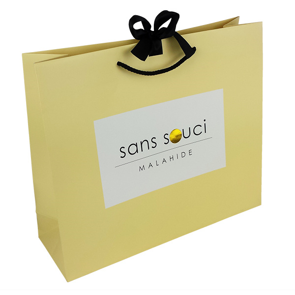 Bespoke Wholesale Gift Bag Handbag Custom Logo Luxury Shopping Paper Bag with Ribbon, Rope Handling Manufacturer, Manufacturers