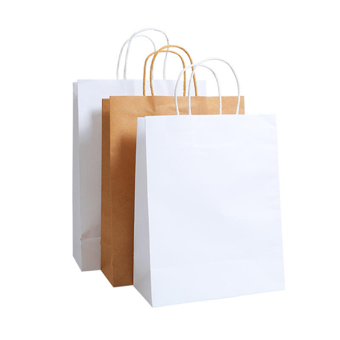 Personalized Logo Printing Recycled Brown White Kraft Paper Shopping Gift Bag with Twist Handle Manufacturer, Wholesale