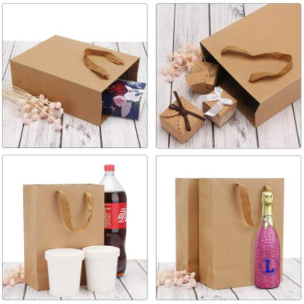Gift Paper Bag 4