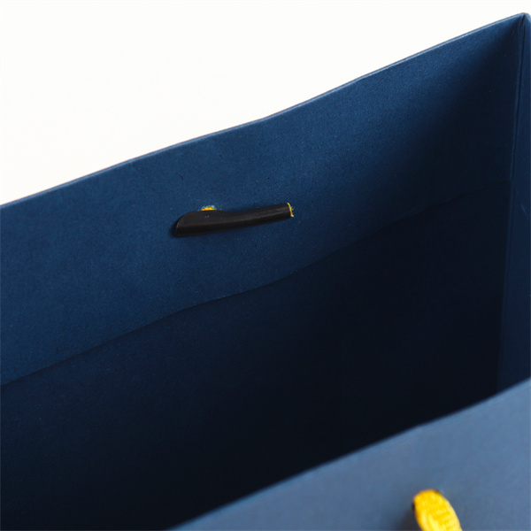 Customized Luxury Ribbon Handle Boutique Shopping Packaging Paper Gift Bags with Logo Manufacturers, Factory