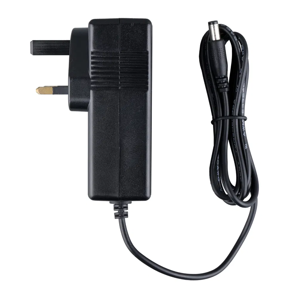 Switch Mode Camera Power Adapter LED Power Adapter for CCTV LCD Medical Applications