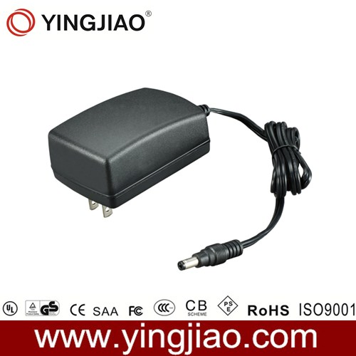 35W AC DC Switch Mode Power Adapter