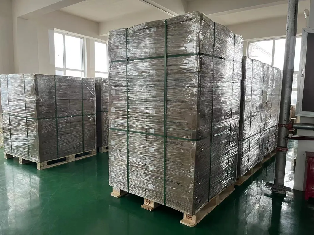 DC Charger Converter 4