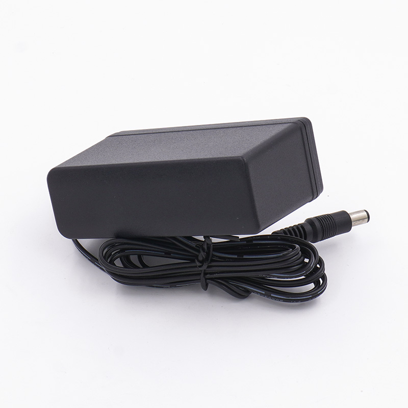 AC DC 5W 6W 10W 12W 15W 20W 24W Power Adapter 12V 2A Universal Power Supply with Customized Plugs