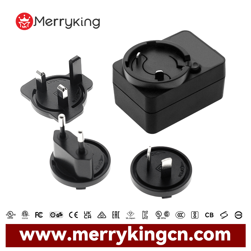 Merryking CE Certified Interchangeable Plugs OEM 60601 Standard Medical Power Supply Adapter 5V 2A 2.5A 6V 1A 6V Medical Grade Power Adapter for Hi-Fi Products