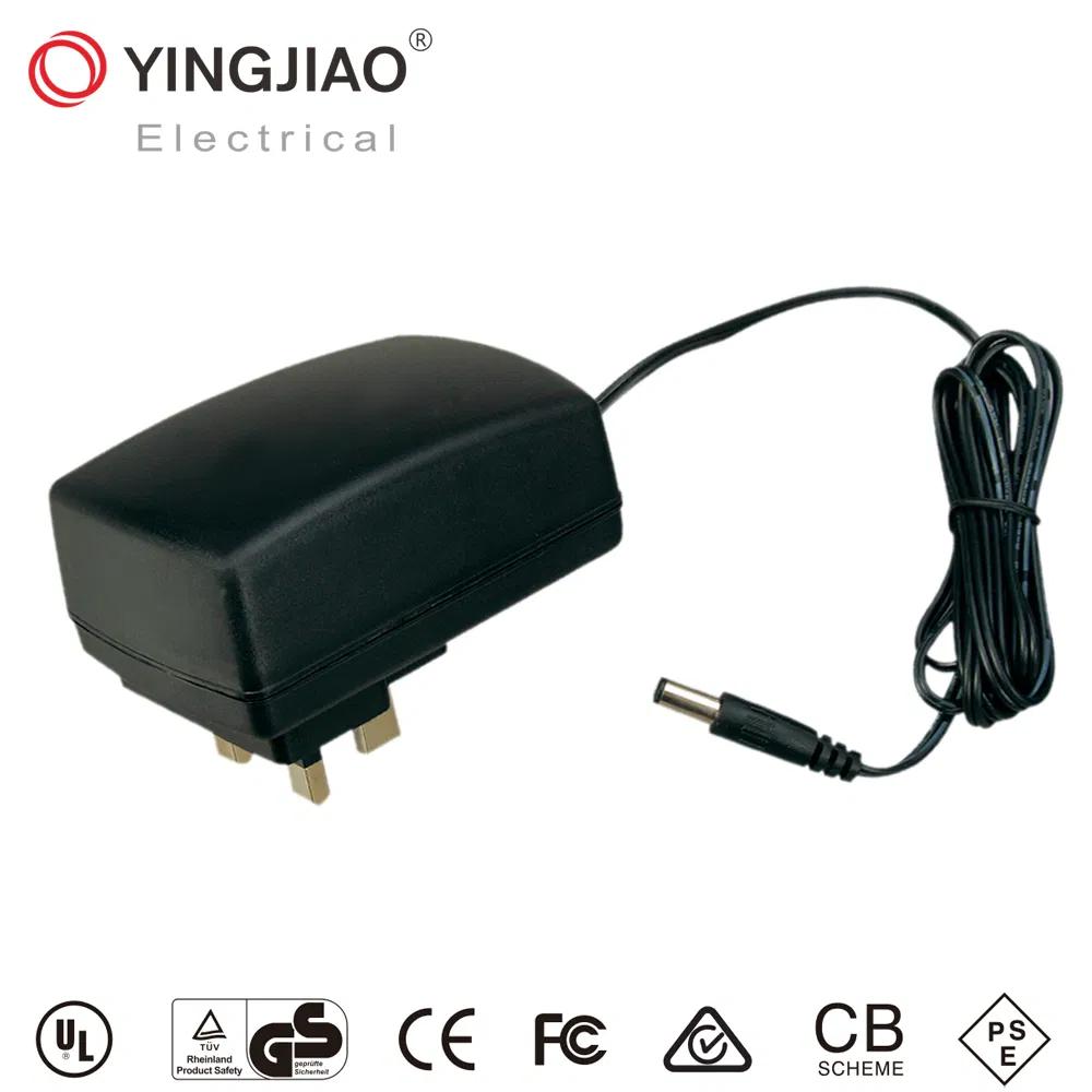 36W AC DC Switch Mode Power Adapter