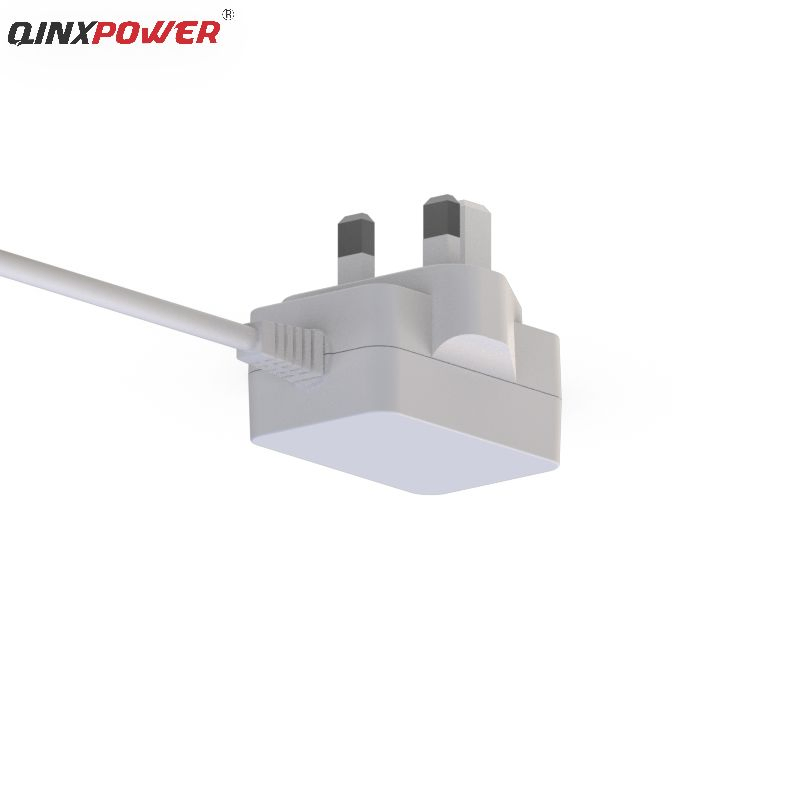 Factory 10W 5V2a Wall Mounted Power Adapter with Safety Standard