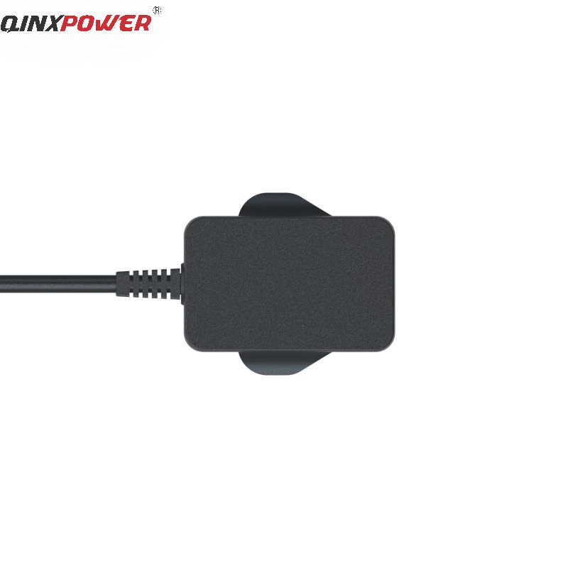 Factory 10W 5V2a Wall Mounted Power Adapter with Safety Standard