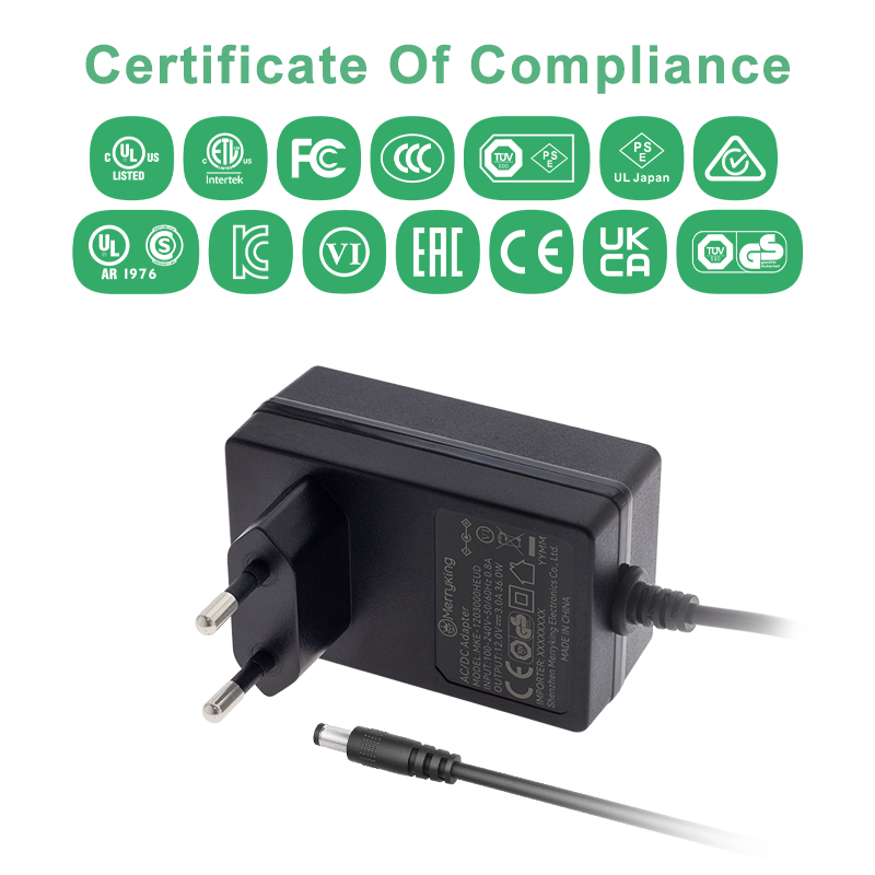 White Color European CE CB GS Certificated Wall Mounted Power Supply AC DC 48V 500m Power Adapter