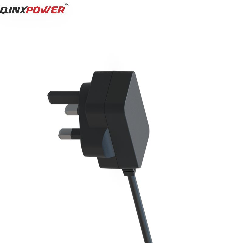 Factory 10W 5V2a Wall Mounted Power Adapter with Safety Standard