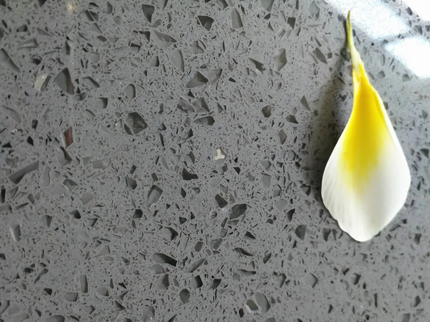 Grey Star Quartz Stone Soild Surface
