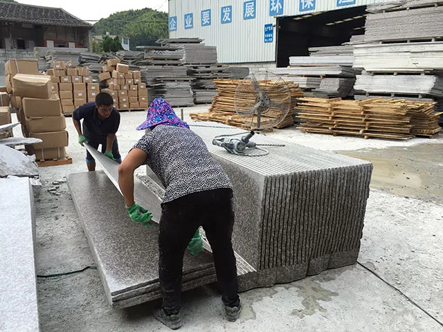 G366 Granite Slab