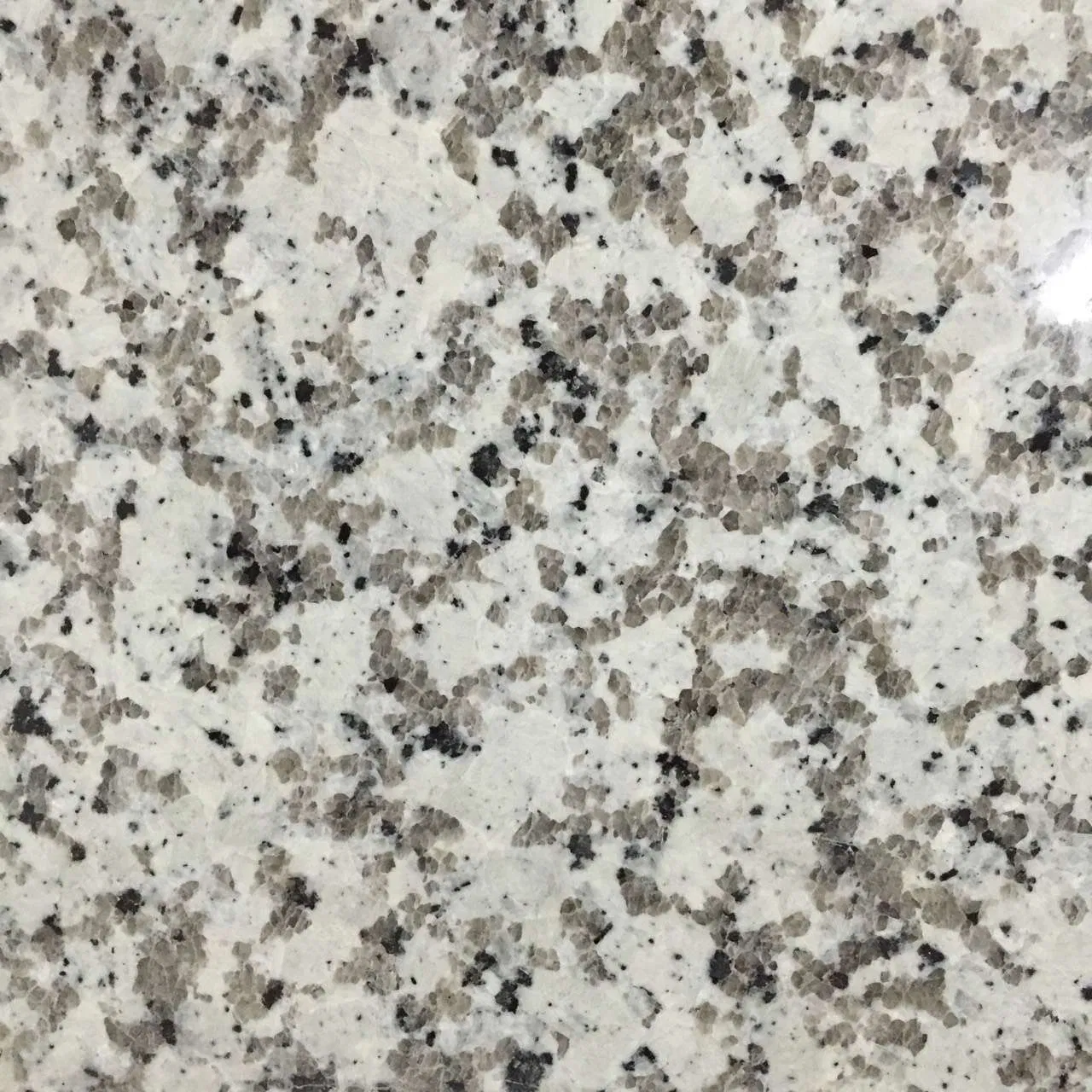 G681/G682/G603/G654/G664 China Cheap Stone Granite Slab with Dry Stone Layout